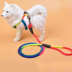 Colorful Nylon Round Pet Leash