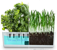 Smart Hydroponic Planter