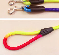 Colorful Nylon Round Pet Leash